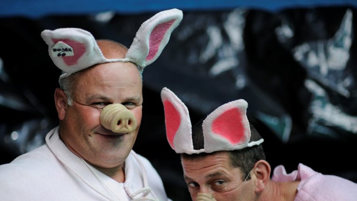 Pourcailhade - Championnat du monde de cri de cochon, France