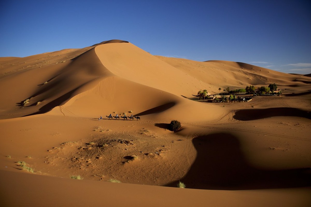 Promenez-vouq à dos de dromadaire au coucher de soleil sur la dune de Taghit, Algérie