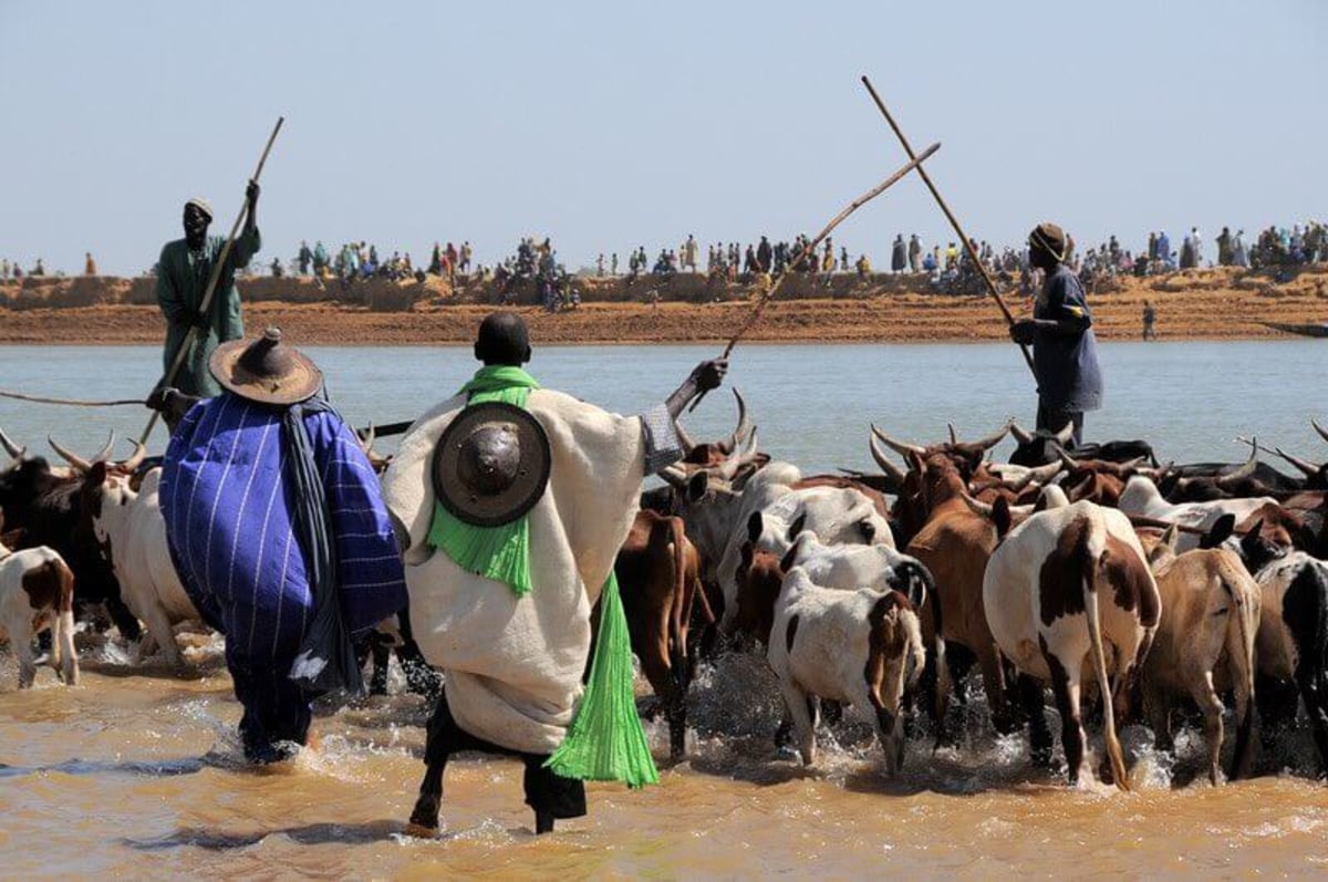 Traversée de Diafarabé, Mali