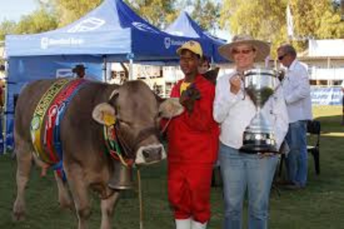 Windhoek Show, Namibie