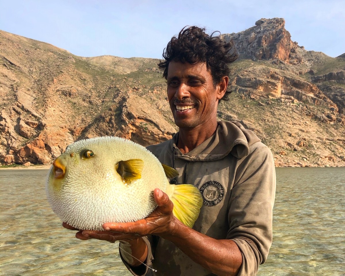 Partez à la découverte de la faune marine du lagon de Detwah avec un pêcheur local, Yémen, Socotra