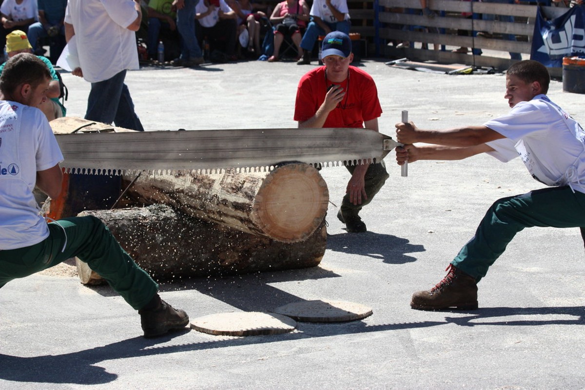 Fête des bûcherons, France
