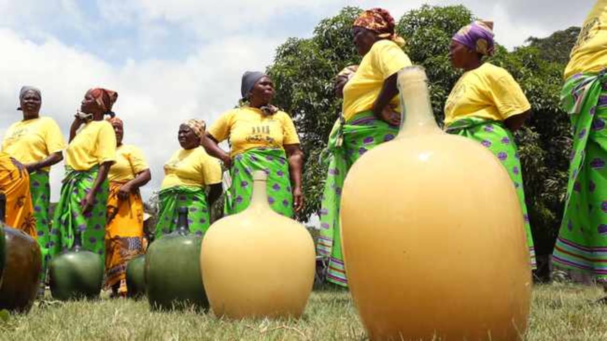 Marula Festival, Swaziland