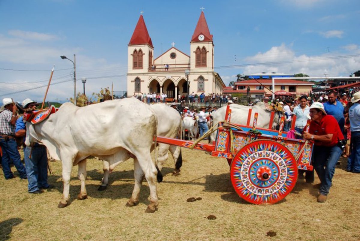 Dia Cantonal del Boyero, Costa Rica