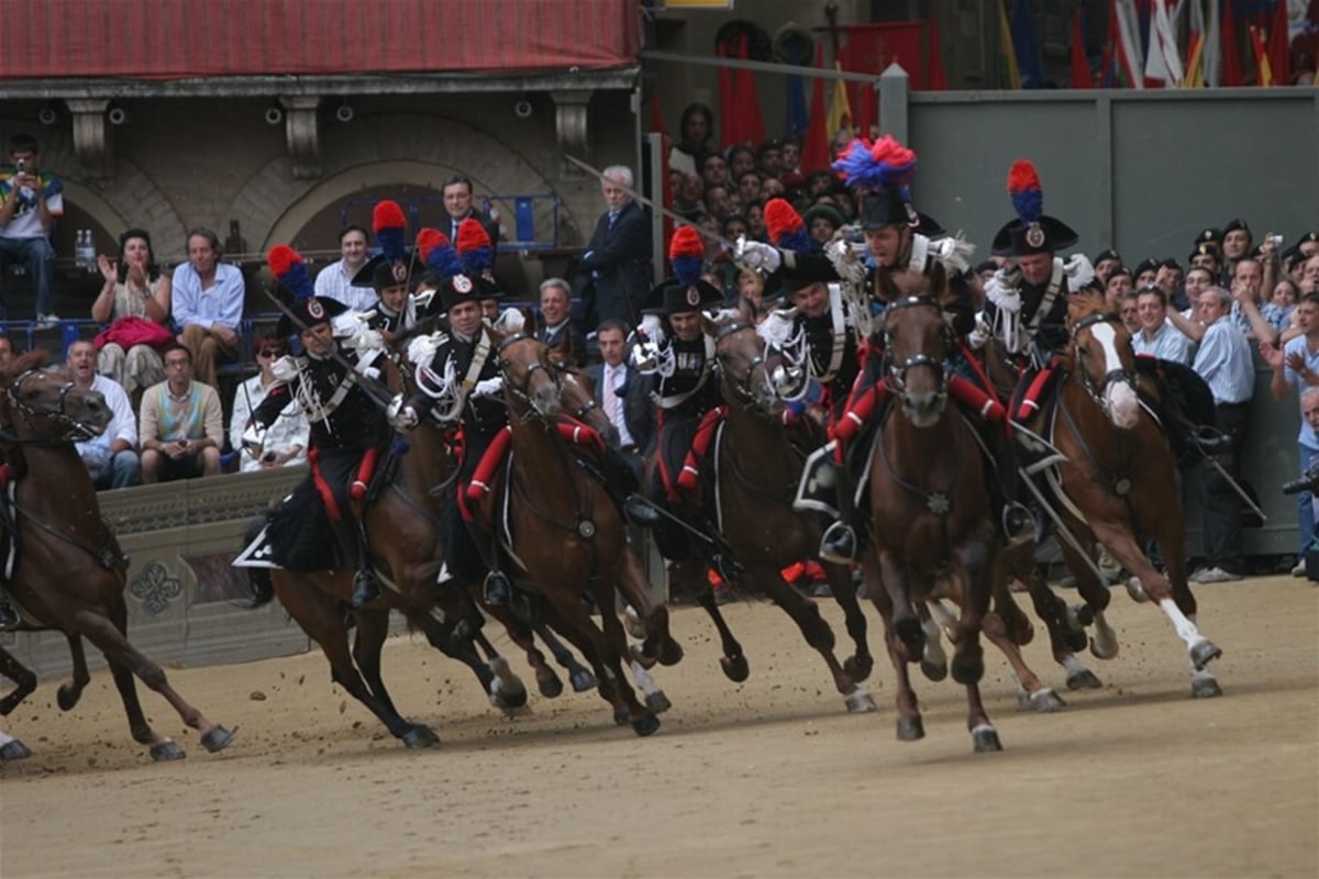 Palio di Provenzano, Italie