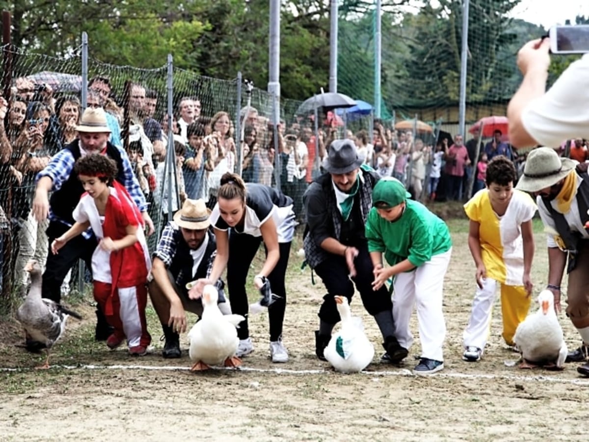 Palio del Papero, Italie