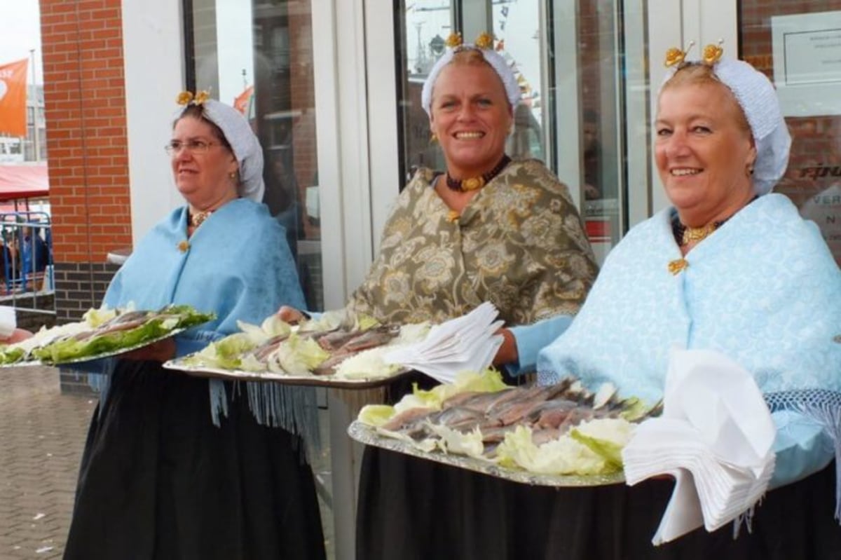 Fête du hareng, Pays-Bas