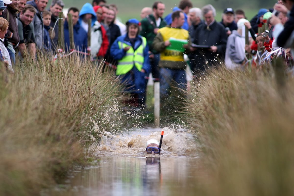 World Bog Snorkelling Championship, Pays de Galles