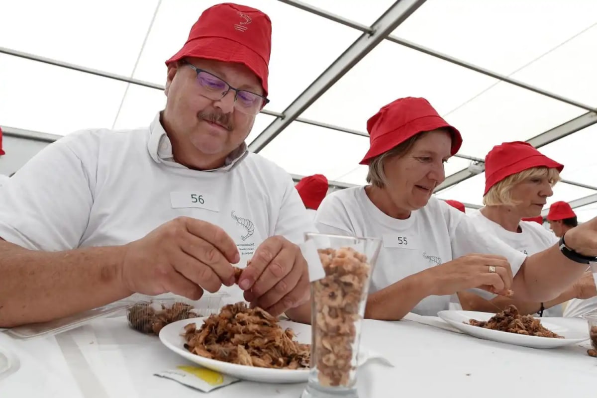 Championnat du monde de décorticage de crevettes, France
