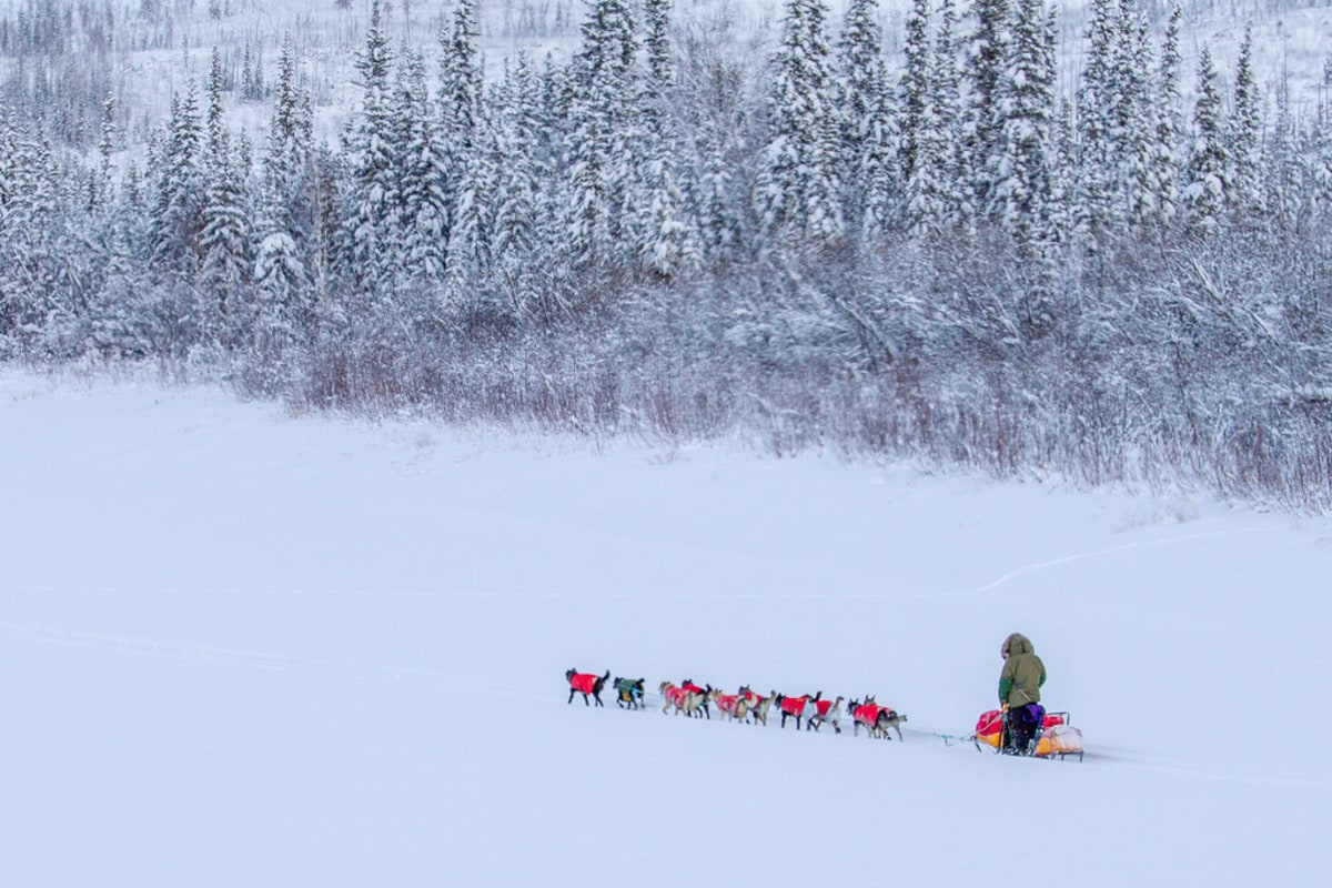 Yukon Quest, 