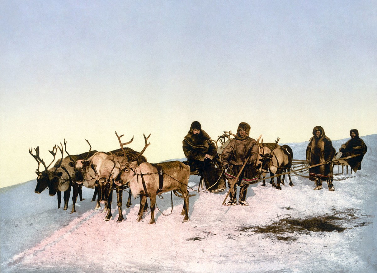 Accompagnez les éleveurs Nenets dans la grande transhumance des rennes dans la toundra sibérienne, Russie