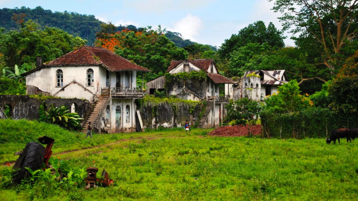 Découverte du centre de l'île de Sao Tomé avec un guide, Sao Tomé-et-Principe