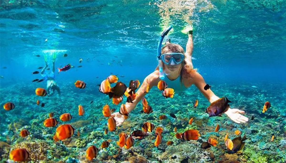 Découverte des fonds marins de Principe en snorkeling, Sao Tomé-et-Principe