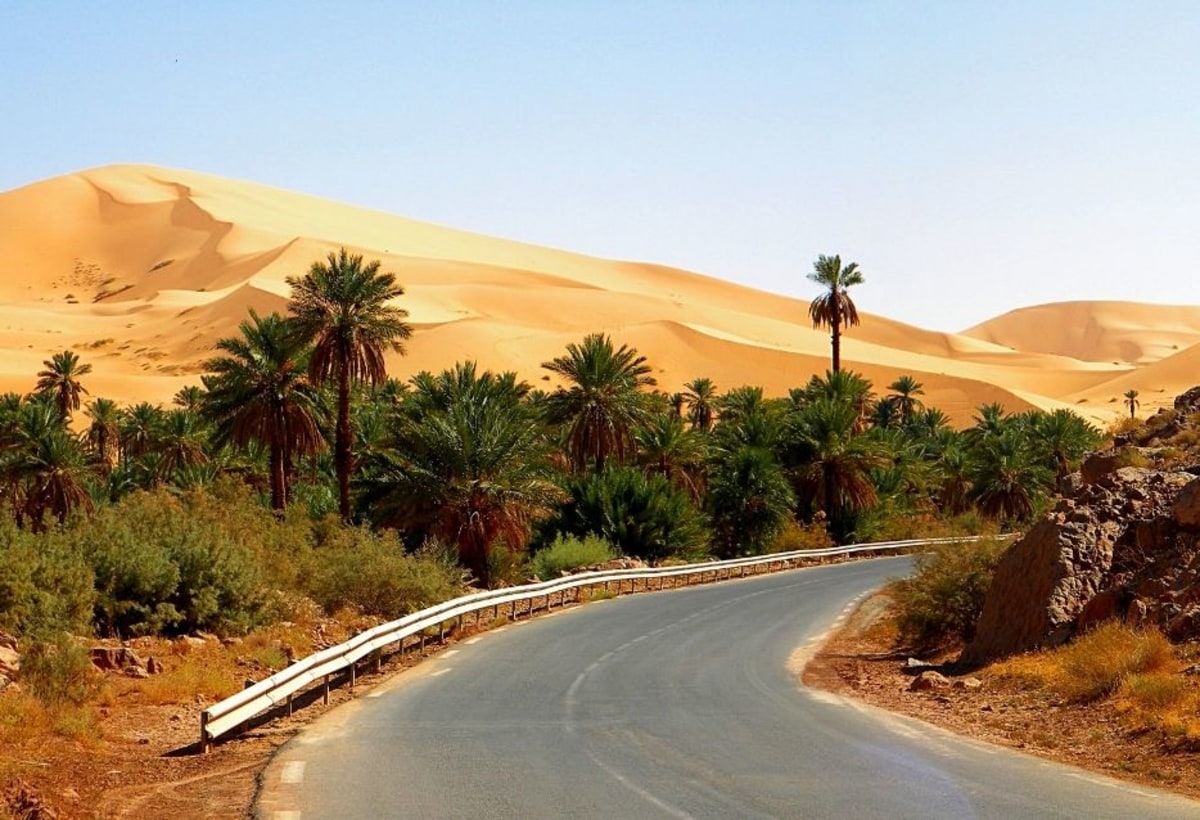 Les oasis du Grand Erg Occidental
