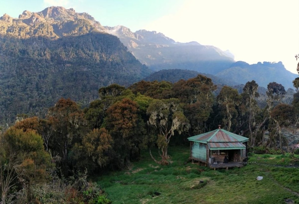 Trek dans le monde sauvage des Monts Rwenzori
