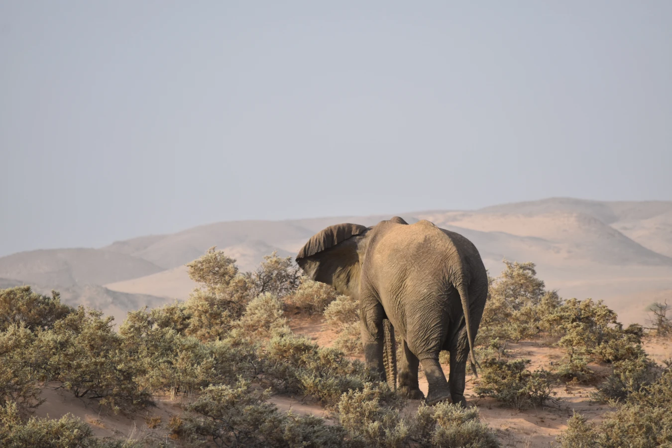 Découverte du Damaraland et du Kaokoland