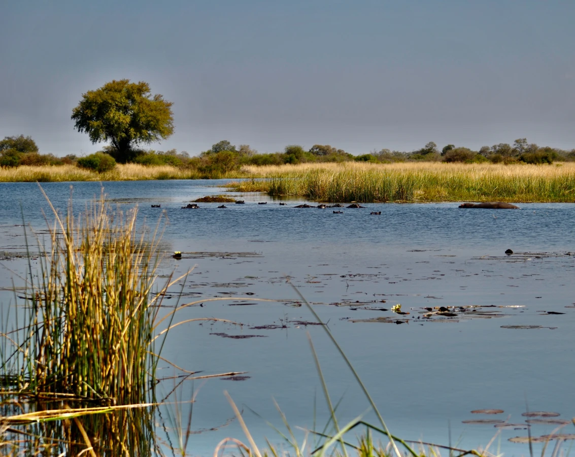 Combiné Namibie et Botswana : les deux perles de l’Afrique australe 