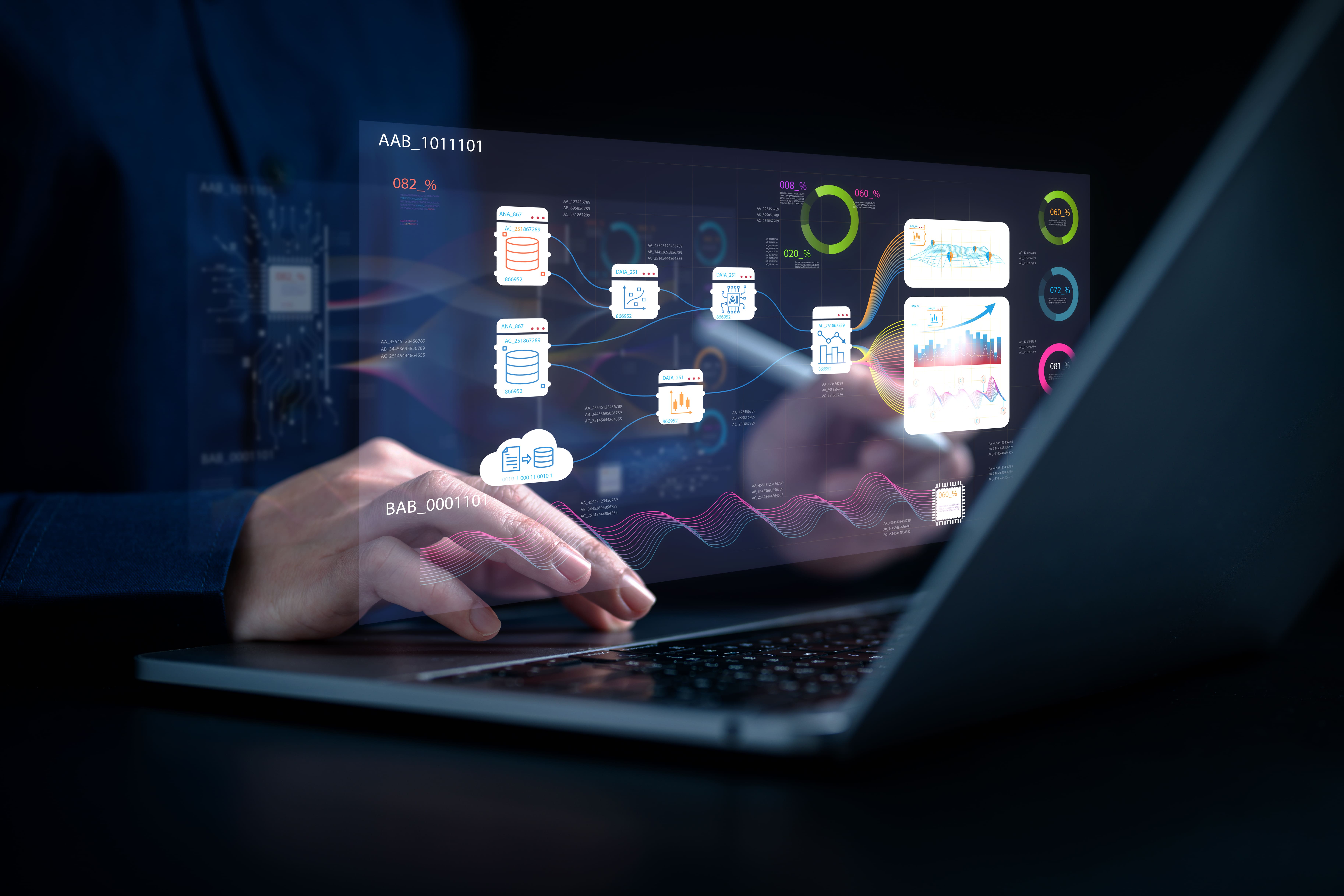 Software as a Service