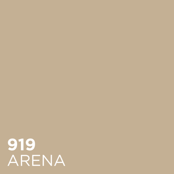 arena-919