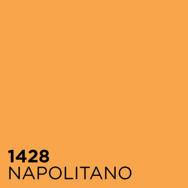 napolitano-1428
