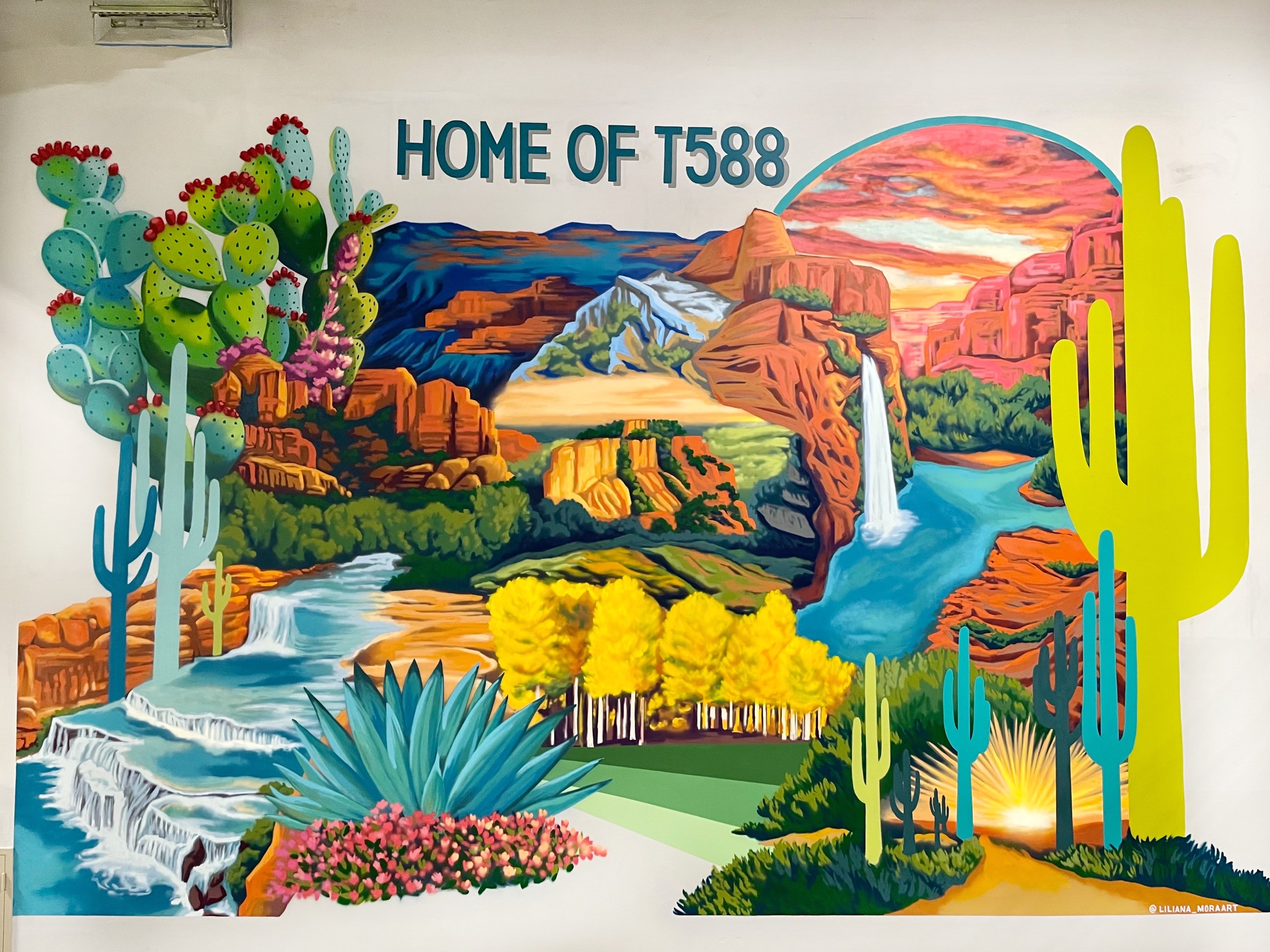 Liliana Mora | Phoenix, AZ - Muros