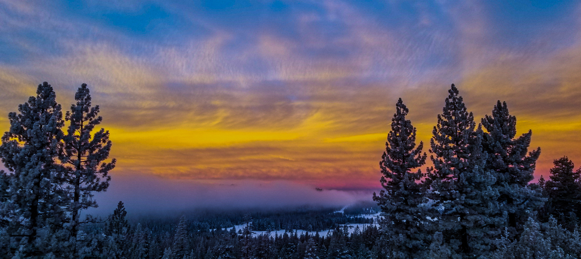 Donner summit
