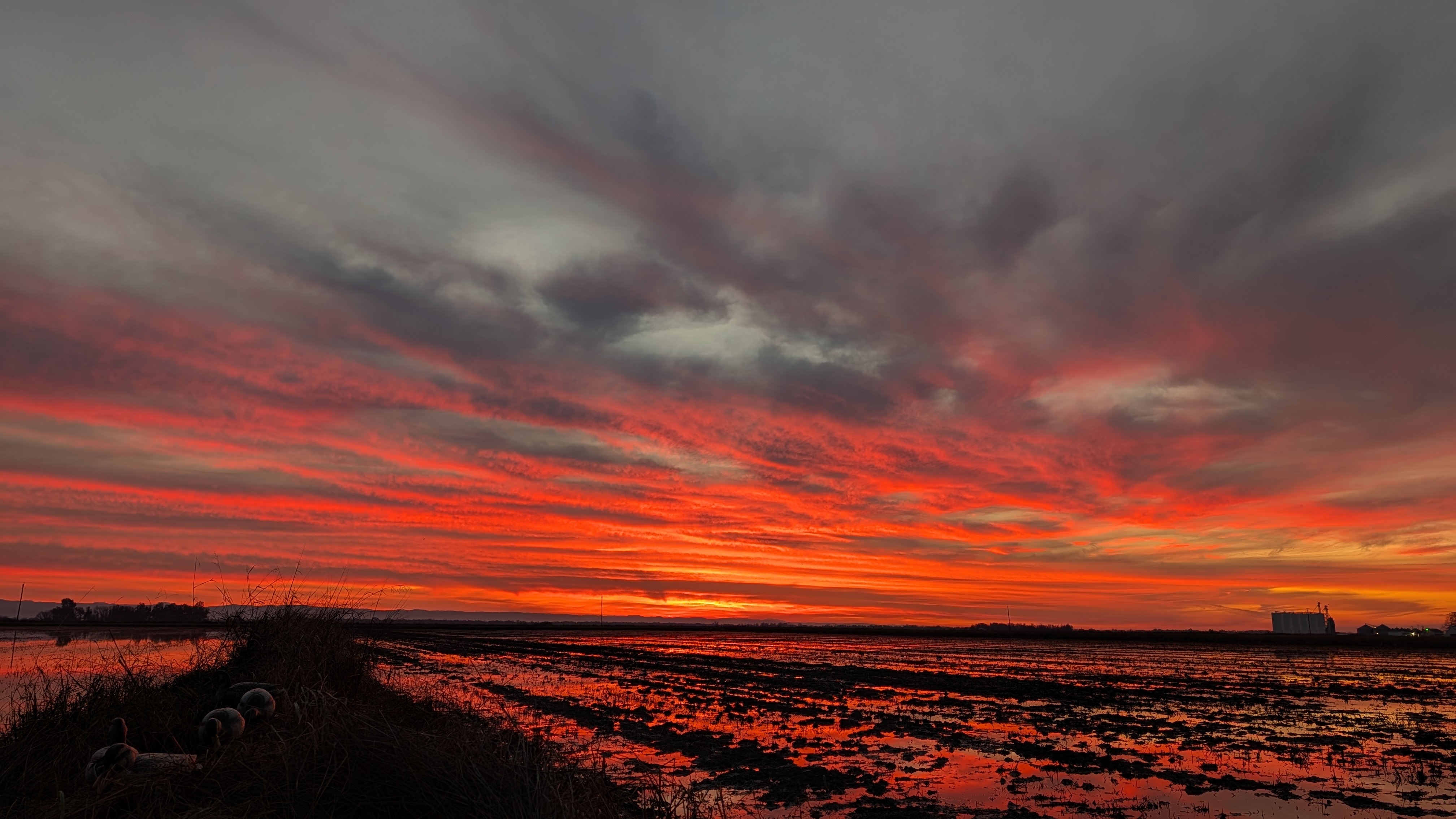 Sunrise