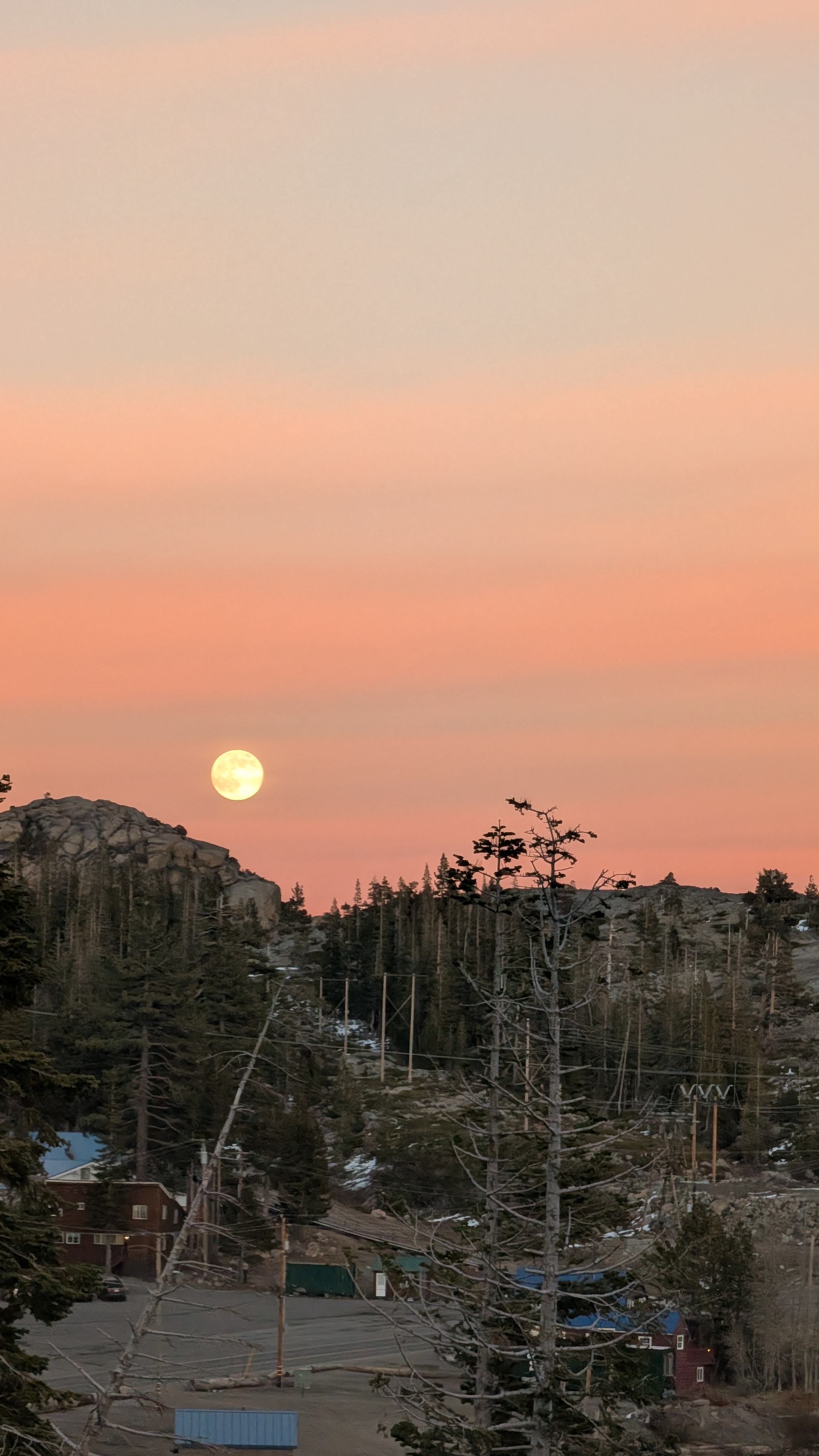 Bad moon rising