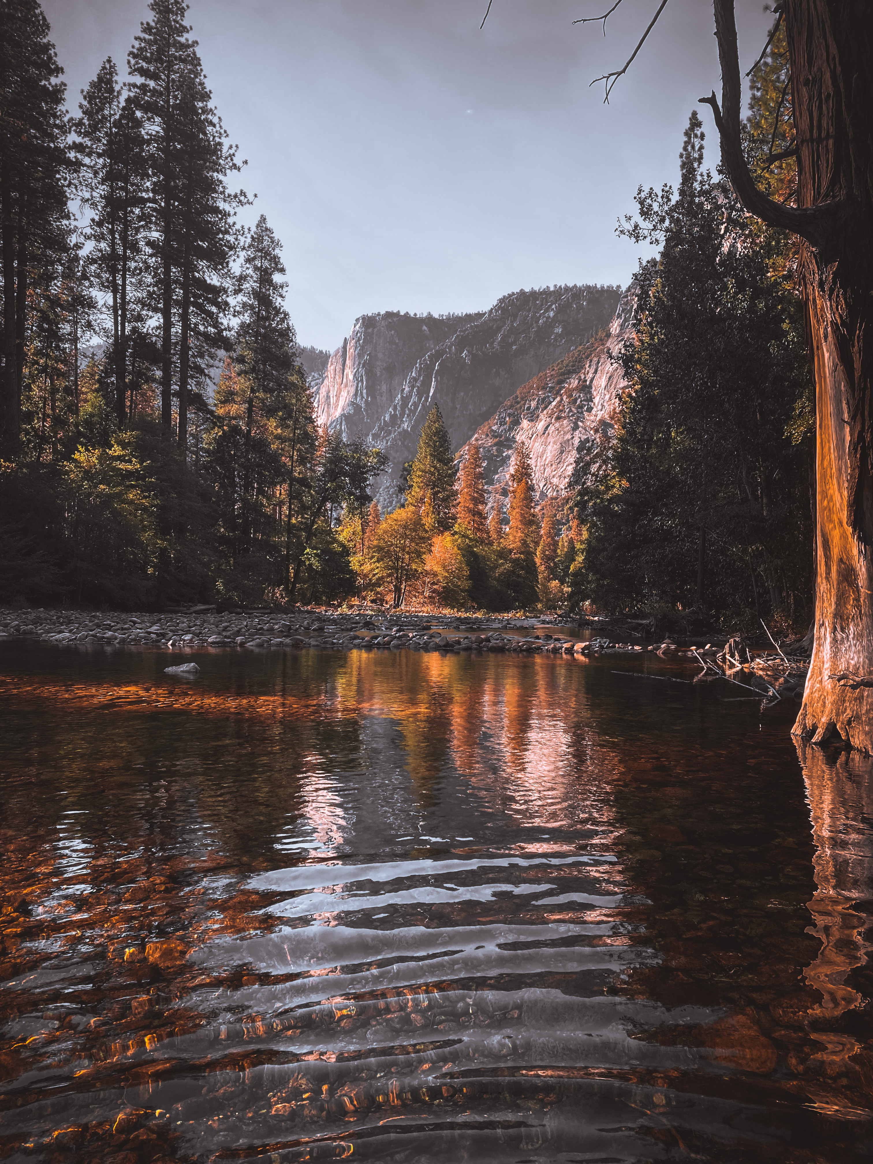 Ahwahnee