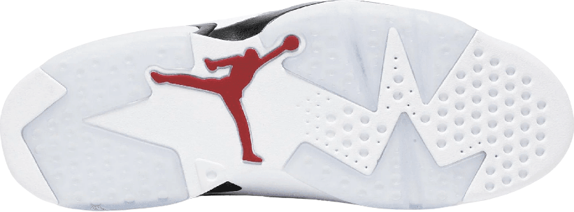 Nike Air Jordan 6 "Carmine"