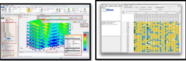 Analysis through STRUCTURE and TASSEL software