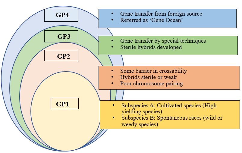 Modified gene pool concept in plants based on the hybridization study (a revised form of Harlan and De Wet, 1971)