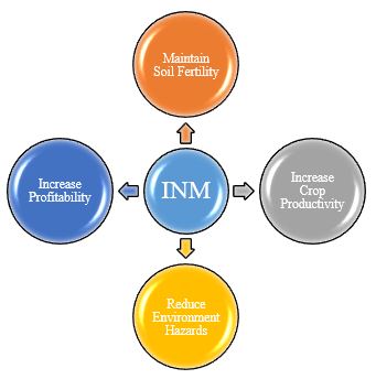 INM