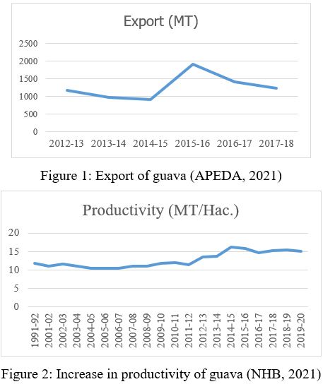 Export of Guava