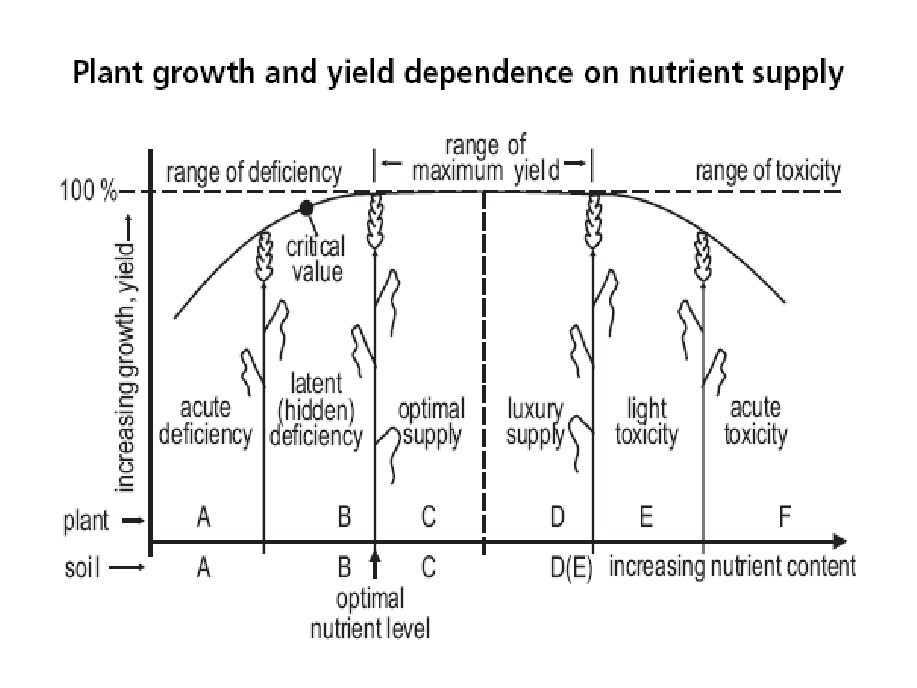 Plant growth on optimum dose of nutrient supply