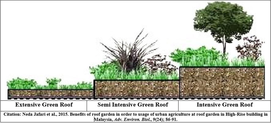 Types of Roof Top Gardening