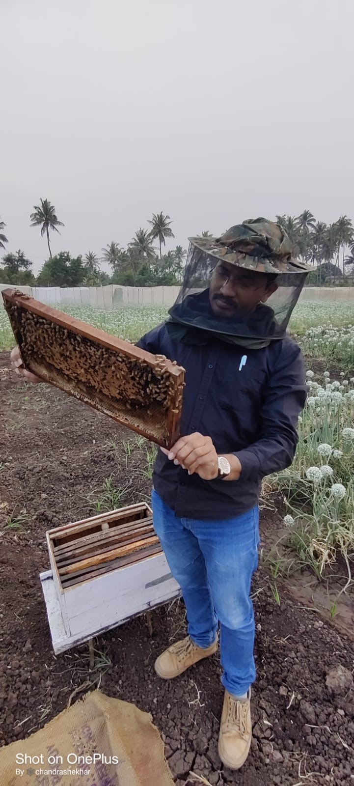Honey Mission