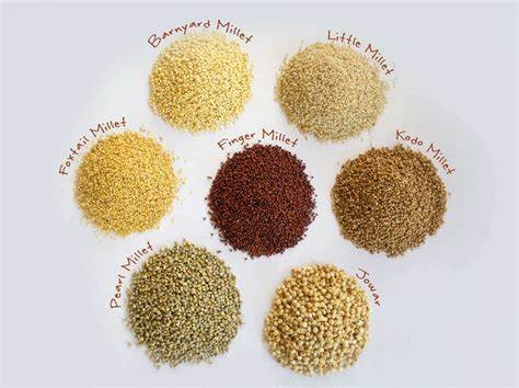 Advantages of Millet Production
