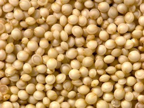 Quinoa 3