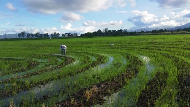 Water Irrigation