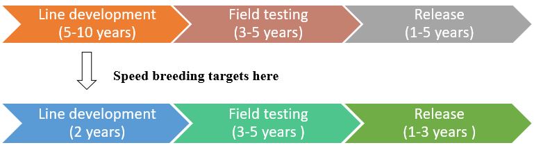 Speed breeding 