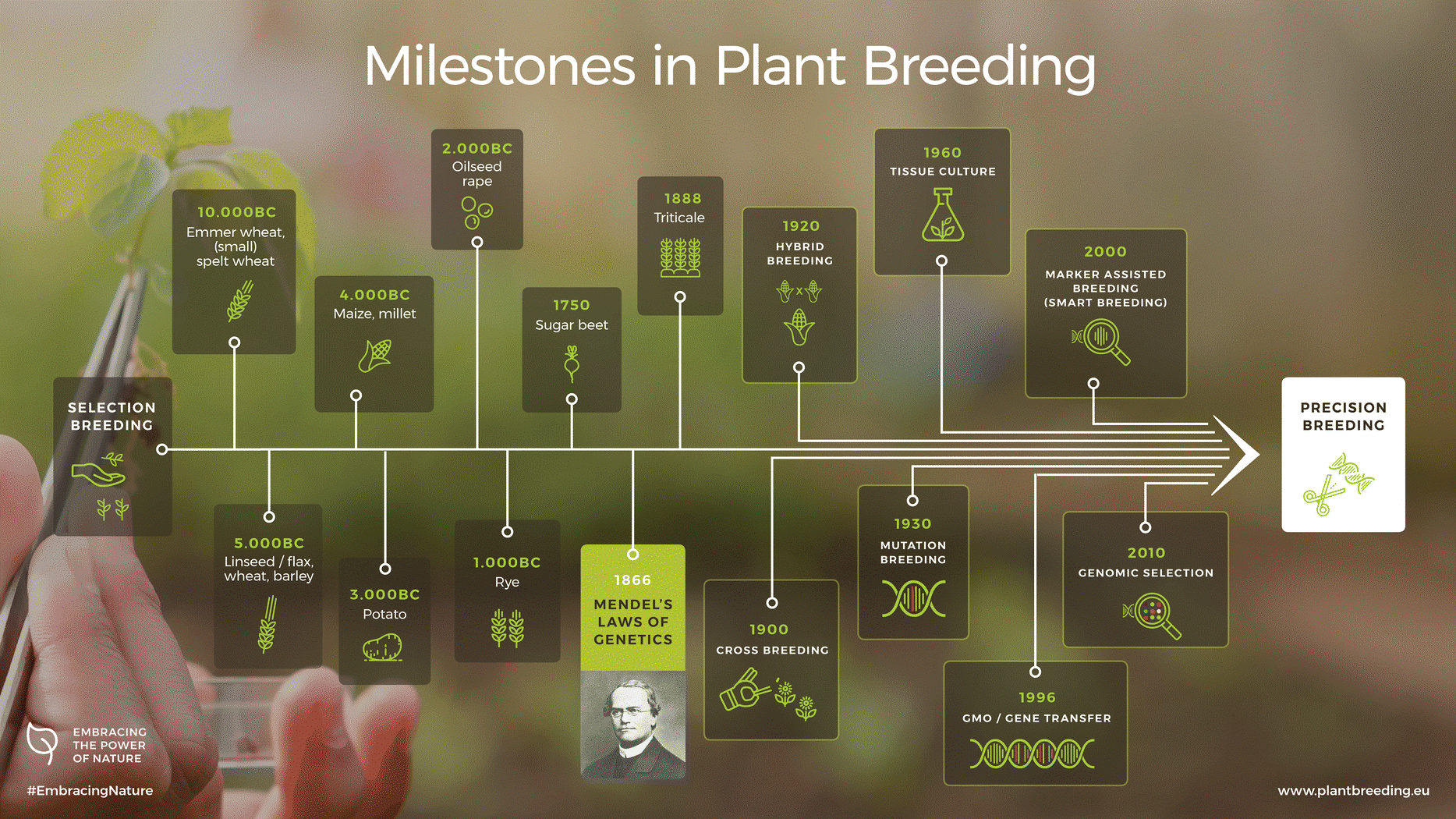 Milestones in Plant Breeding
