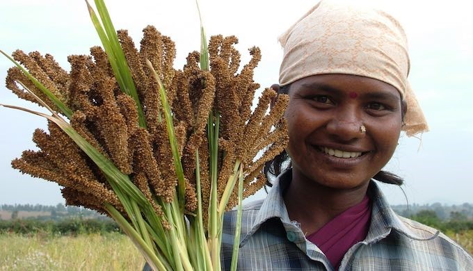 Time to turn to millets as a Climate-Nutri-Smart crop 