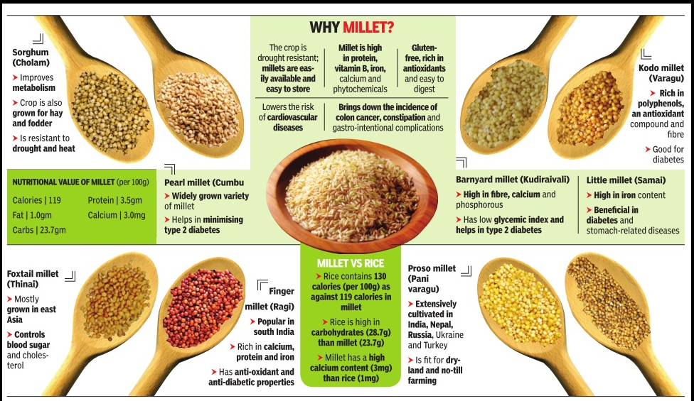 WHY MILLET?