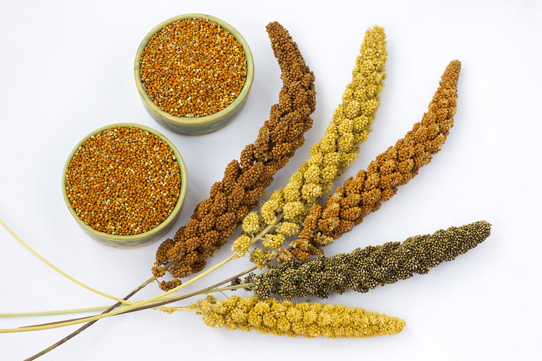 Why it is necessary to return to coarse grains
