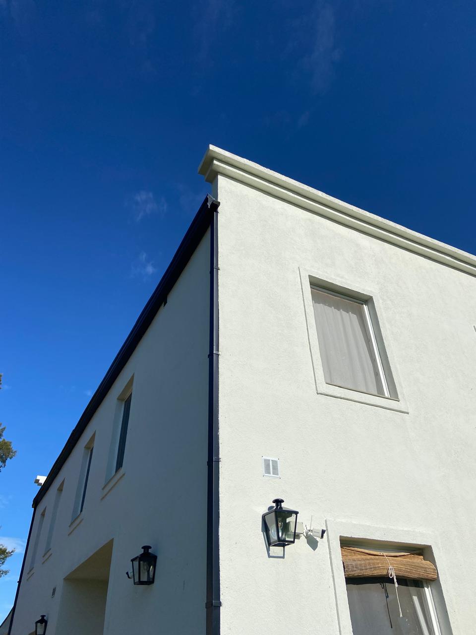 Los Carpinchos - Dirección de obra - Imagen 1