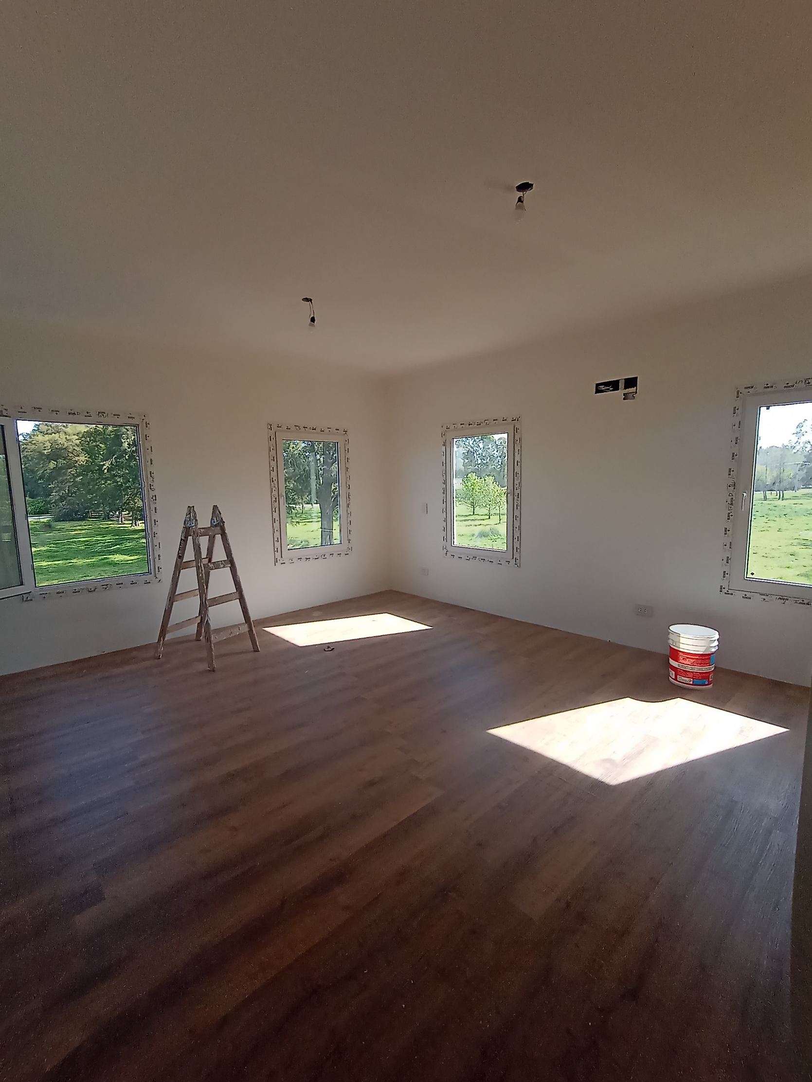 Los Carpinchos - Dirección de obra - Imagen 2