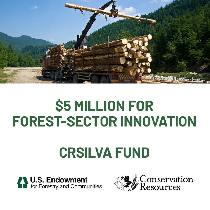 CRSilva Ventures Launches First Forest-Sector VC Fund