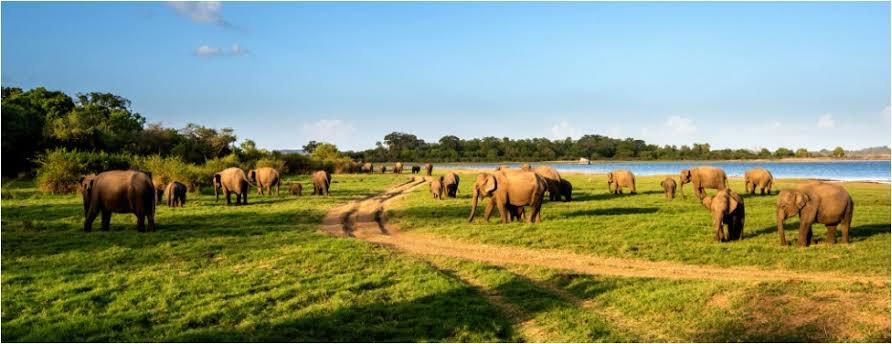 Hurulu Eco Park – main