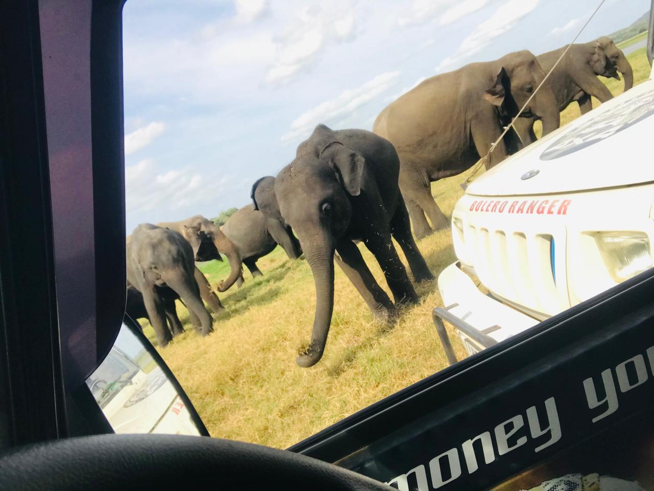 Kaudulla National Park
